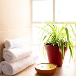 Apartament Rer C A 4 Minutes A Pieds Chateau De 15 Minutes A Pied *